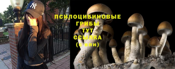 mix Абинск