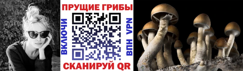 Псилоцибиновые грибы прущие грибы  Электроугли 